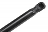NTY 60664833 TAILGATE GAS SPRING