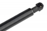 NTY 50509830 TAILGATE GAS SPRING