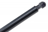 51238202688,HOOD GAS SPRING,L=319MM,F=580N BMW 3 E46,SHOCK ABSORBERS,