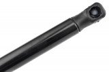 8731.G3,TAILGATE GAS SPRING,L=445MM,F=420N CITROEN C3,SHOCK ABSORBERS,