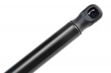 8731.R8,CITROEN BERLINGO II,PEUGEOT PARTNER,SHOCK ABSORBERS,REAR DOOR GLASS DAMPER