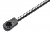 1071669,TAILGATE GAS SPRING,L=512MM,F=550N FORD FOCUS I,SHOCK ABSORBERS