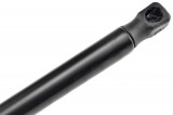 1071669,TAILGATE GAS SPRING,L=512MM,F=550N FORD FOCUS I,SHOCK ABSORBERS