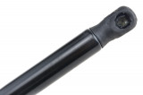 6900217,TAILGATE GAS SPRING,F=495N FORD ESCORT VI,ESCORT VII,SHOCK ABSORBERS