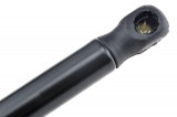 1212586,TAILGATE GAS SPRING,L=556MM,F=500N FORD FUSION,SHOCK ABSORBERS,