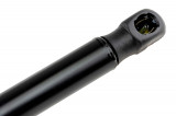 1752588,TAILGATE GAS SPRING,L=554MM,F=550N FORD B-MAX,SHOCK ABSORBERS,