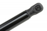 51801718,TAILGATE GAS SPRING,L=288MM,F=380N FIAT LINEA 07,SHOCK ABSORBERS,