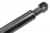 46830389,TAILGATE GAS SPRING,F=480N FIAT IDEALANCIA MUSA 2004-12,SHOCK ABSORBERS,