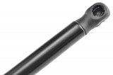 46428438,TAILGATE GAS SPRING,L=295MM,F=380N LANCIA LYBRA 99-05,SHOCK ABSORBERS,