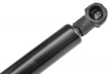 81770-06010,TAILGATE GAS SPRING,L=449MM,F=470N HYUNDAI ATOS PRIME,SHOCK ABSORBERS