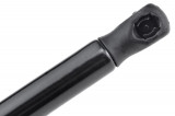 8177129221,TAILGATE GAS SPRING,L=520MM,F=435N HYUNDAI LANTRA II,SHOCK ABSORBERS