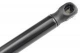 817701P000,TAILGATE GAS SPRING,L=487MM,F=500N KIA VENGA,SHOCK ABSORBERS,