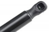 81770-1D010,TAILGATE GAS SPRING,L=570MM,F=590N KIA CARENS III,SHOCK ABSORBERS