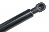 2099800064,TAILGATE GAS SPRING,L=256MM,F=560N MERCEDES CLK,SHOCK ABSORBERS
