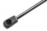 1717500036,TAILGATE GAS SPRING,L=282MM,F=560N MERCEDES SLK,SHOCK ABSORBERS