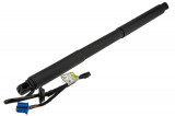 A1668901130,TAILGATE GAS SPRING,MERCEDES ML W166 12,SHOCK ABSORBERS