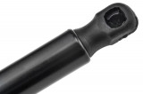 C10062620D,TAILGATE GAS SPRING,L=495MM,F=450N MAZDA PREMACY,SHOCK ABSORBERS
