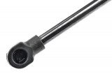 8731.G4,F=140N PEUGEOT 206,SHOCK ABSORBERS,REAR DOOR GLASS DAMPER,