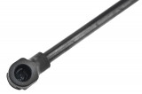 8731.C9,TAILGATE GAS SPRING,L=286MM,F=310N PEUGEOT 406 97-04,SHOCK ABSORBERS