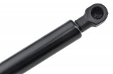 8731.C9,TAILGATE GAS SPRING,L=286MM,F=310N PEUGEOT 406 97-04,SHOCK ABSORBERS