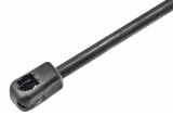 7700434465,TAILGATE GAS SPRING,RENAULT MEGANE SCENIC,SCENIC I,SHOCK ABSORBERS,
