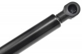 32062565,TAILGATE GAS SPRING,L=451MM,F=385N RENAULT CLIO III,SHOCK ABSORBERS