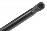 8200583852,TAILGATE GAS SPRING,F=580N RENAULT CLIO GRANDTOUR,SHOCK ABSORBERS,
