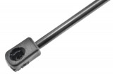 6025401711,TAILGATE GAS SPRING,L=357MM,F=555N RENAULT AVANTIME,SHOCK ABSORBERS