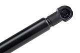 8200130187,F=135N RENAULT SCENIC IISHOCK ABSORBERS,REAR DOOR GLASS DAMPER