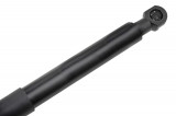 654707388R,HOOD GAS SPRING,L=255MM,F=350N RENAULT ZOE 12,SHOCK ABSORBERS,