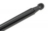 TAILGATE GAS SPRING,F=535N RENAULT SCENIC,GRAND SCENIC III,SHOCK ABSORBERS