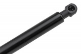 7000510521C0,TAILGATE GAS SPRING,F=300N RENAULT LAGUNA COUPE,SHOCK ABSORBERS,