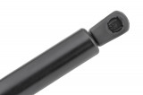 AE-RE-072,TAILGATE GAS SPRING,F=880N RENAULT MEGANE CC,SHOCK ABSORBERS,