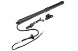 6891009010,TAILGATE GAS SPRING,TOYOTA RAV4 IV 12-18,SHOCK ABSORBERS