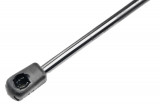 NTY TAILGATE GAS SPRING