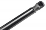 NTY TAILGATE GAS SPRING