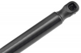 701829331R,TAILGATE GAS SPRING,L=685MM,F=770N VW T4 92-03,SHOCK ABSORBERS