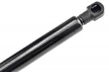 3D0823359C,HOOD GAS SPRING,L=334MM,F=610N VW PHAETON,SHOCK ABSORBERS