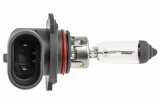 EZ-H1012V42W,HALOGEN BULB H10 12V 42W STANDARD,BULBS HOLDERS AND LAMPS