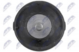 NTY ENGINE MOUNT