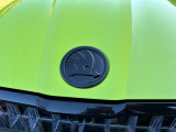 OEM 5LA853621 FOD Front Badge Škoda Enyaq (3)