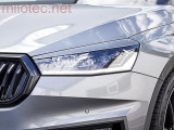 fabia 4 light cover