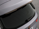  Roof Spoiler - Copper Carbon Composite Cupra