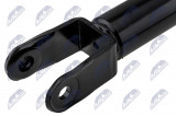 NTY FRONT SHOCK ABSORBER JAGUAR XJ 2WD 09- /L=P, KOMPLETNY, +CVD/