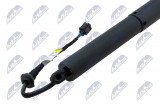 AE-AU-097,TAILGATE GAS SPRING,AUDI Q8 18,/L=P/,TAILGATE GAS SPRING,AUDI