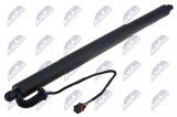 83A827851D,TAILGATE GAS SPRING,AUDI Q3 19,LEFT,RIGHT,TAILGATE GAS SPRING,AUDI