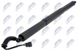 51247365979,TAILGATE GAS SPRING,BMW 2 F46 GRAN TOURER 2014-2017,TAILGATE GAS SPRING,