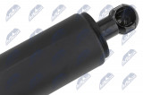 NTY TAILGATE GAS SPRING PORSCHE CAYENNE (955) 03-06  /L,P/