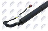 NTY TAILGATE GAS SPRING VOLKSWAGEN TERAMONT 2017- /LEFT/RIGHT/
