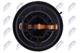 NTY LAMP HOLDER, CLEARANCE LIGHT PY21W MERCEDES KLASA C W203/S203 2000-,CLC 2008-,CLK 2002-,CLS 2004-,KLASA E W211/S211 2002-,GL X164 2006-,KLASA M W164 2005-,KLASA R W251 2006-,KLASA S W220 1999-,BMW X3 F25 2014-,X4 F26 2014-